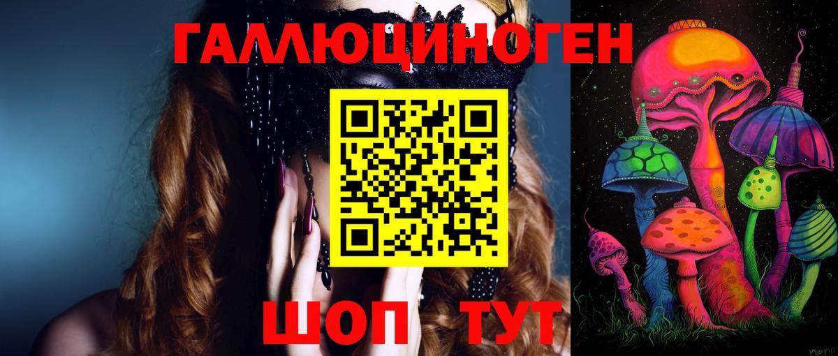 Псилоцибиновые грибы Psilocybe Железногорск